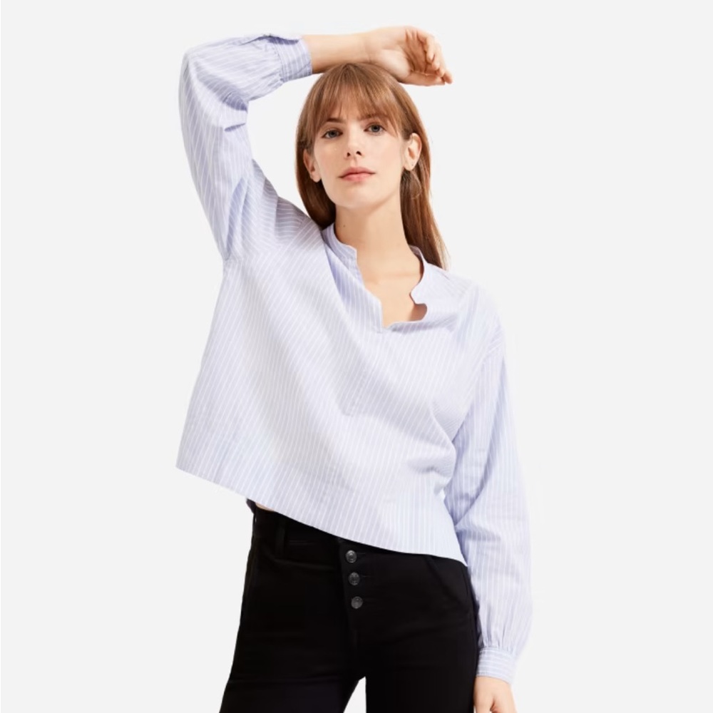Everlane the silky cotton split neck blouse